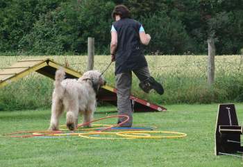 briardag-parcours-110709-07-350