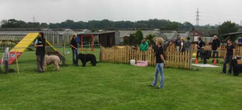 briardag-ring-110709-03-500