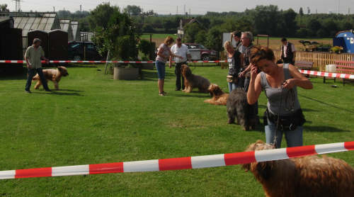 briardag-ring-150809-01-500