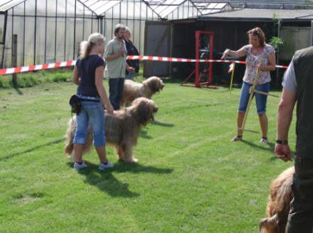 briardag-ring-150809-02-450