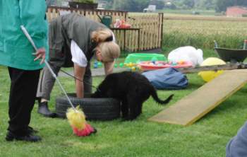 briardag-welpen-110709-02-350