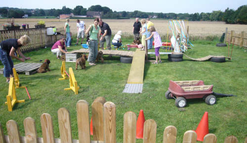 briardag-welpen-150809-01-500